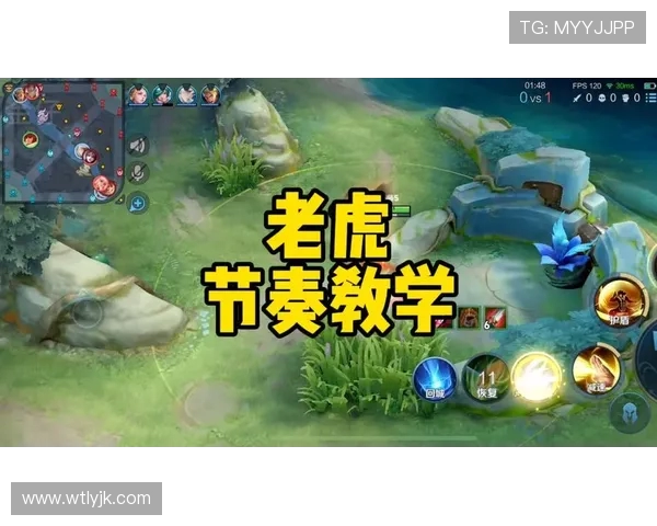 王者荣耀战术解析:WE战队快攻体系的成功之道与实战应用